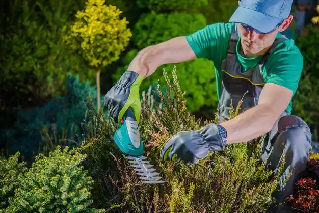 landscaping services Billington Heights